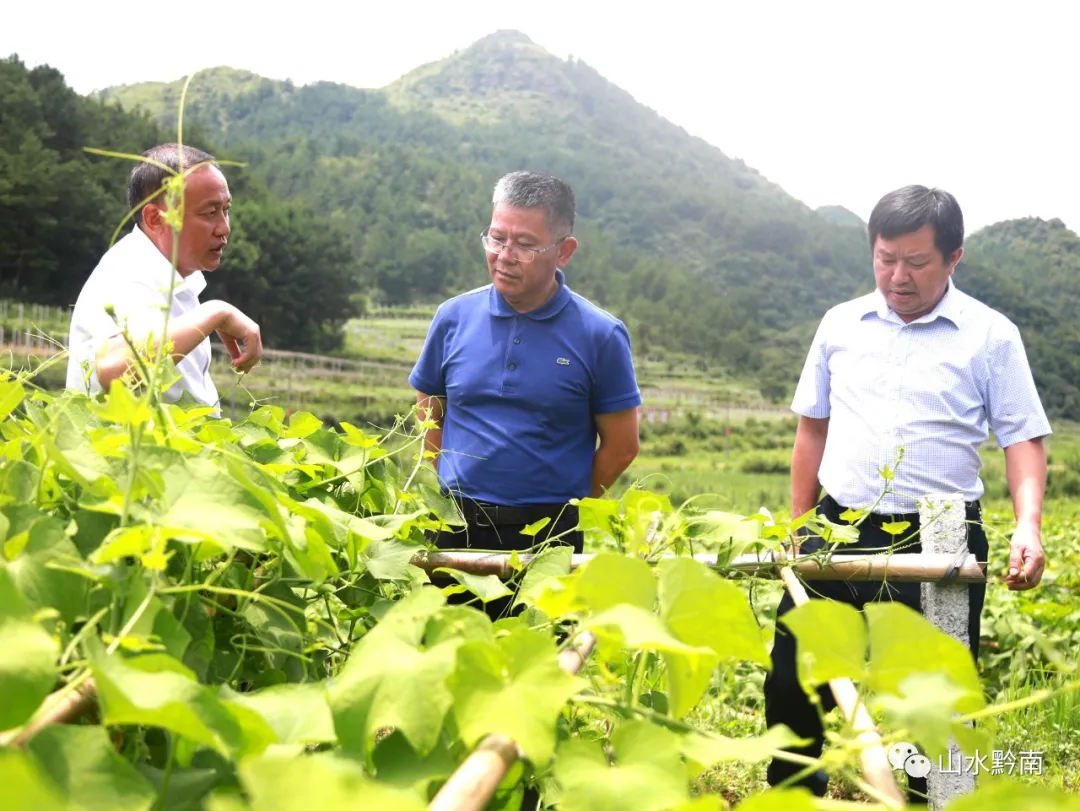 黔南州委書記唐德智到惠水縣督導(dǎo)調(diào)研農(nóng)村產(chǎn)業(yè)革命...