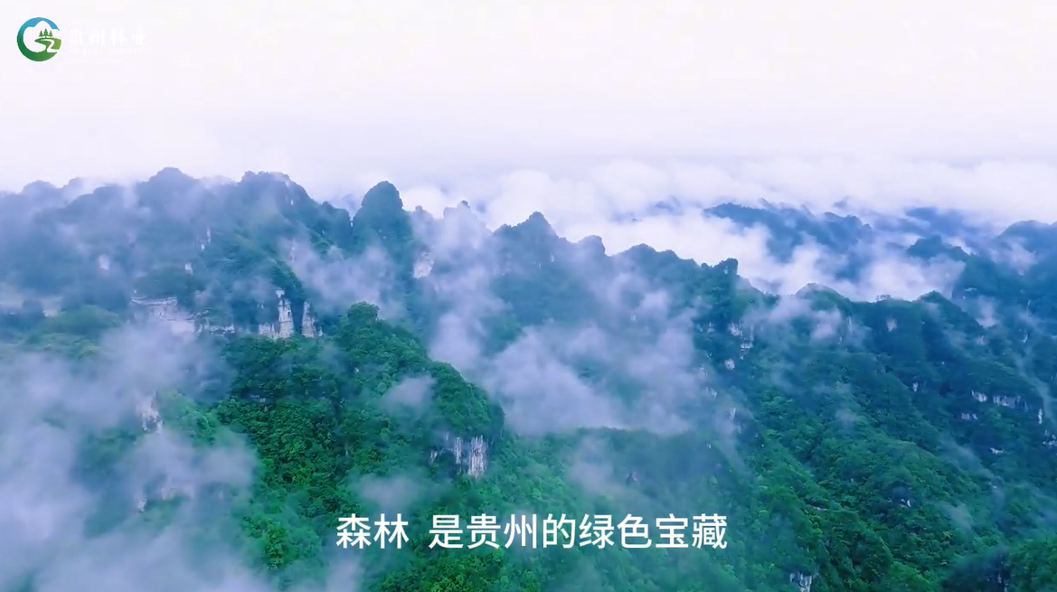 森林防火，人人有責