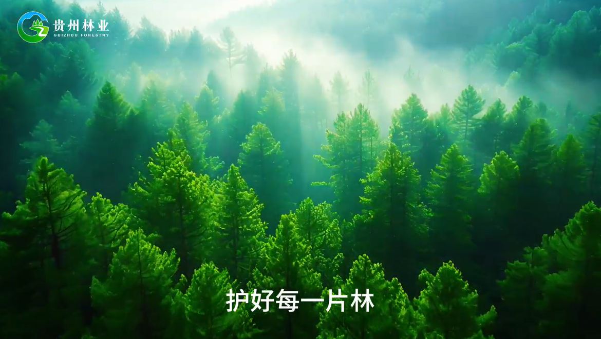 筑牢防火墻守護貴州綠